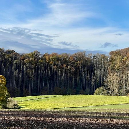 Ferienhaus Kleine Auszeit In Der Natur Mit Kamin, Yogamatten, Schoene Kueche Extertal Екстериор снимка