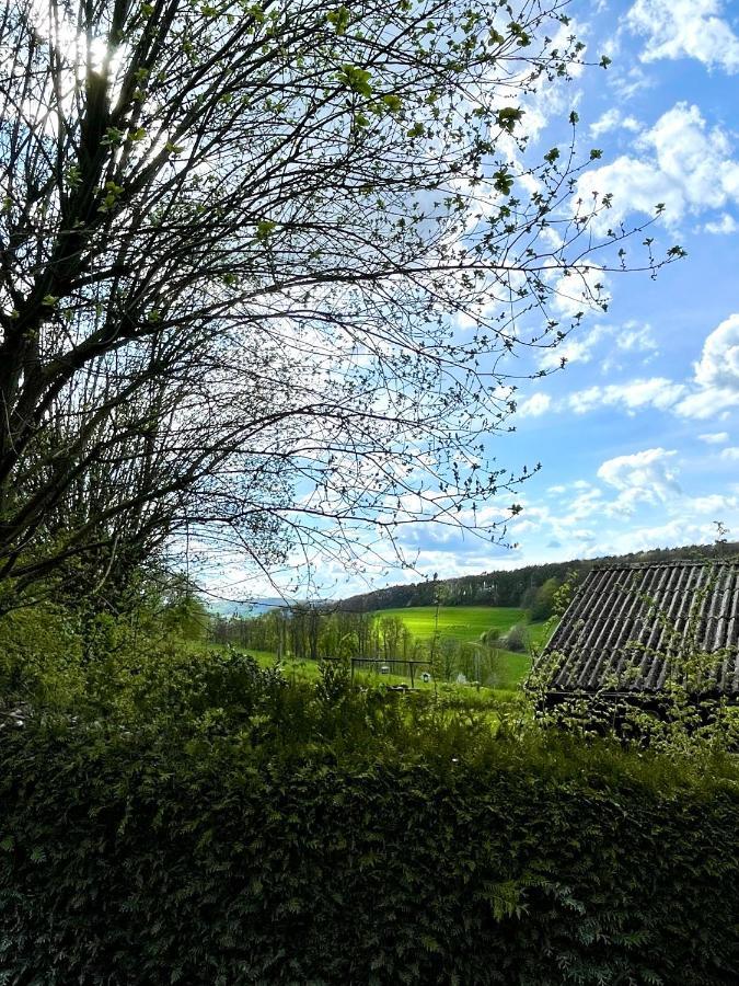 Ferienhaus Kleine Auszeit In Der Natur Mit Kamin, Yogamatten, Schoene Kueche Extertal Екстериор снимка